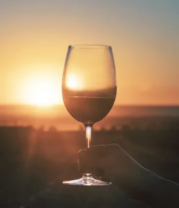 A glass of Malbec wine with a stunning view of the sunset in the high-altitude vineyards of Terrazas de los Andes. We promote responsible consumption and our community's commitment to sustainability and mindful enjoyment.