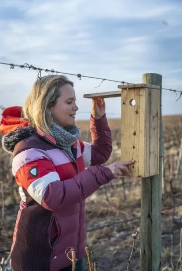 Image of a person collaborating in the construction of nesting boxes as part of a project in collaboration with local research institutions and company teams. These nesting boxes are used to promote biodiversity and sustainability in the vineyards