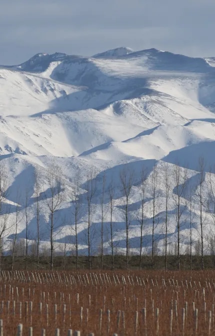 Vista panorámica de la Cordillera de los Andes. Cumbres nevadas en Mendoza, Argentina, rodeada de viñedos de gran altura. 