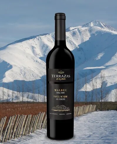 Botella de vino tinto de altura Terrazas de los Andes Parcel Los Cerezos Malbec 2020 sobre las montañas de los Andes en Mendoza, Argentina