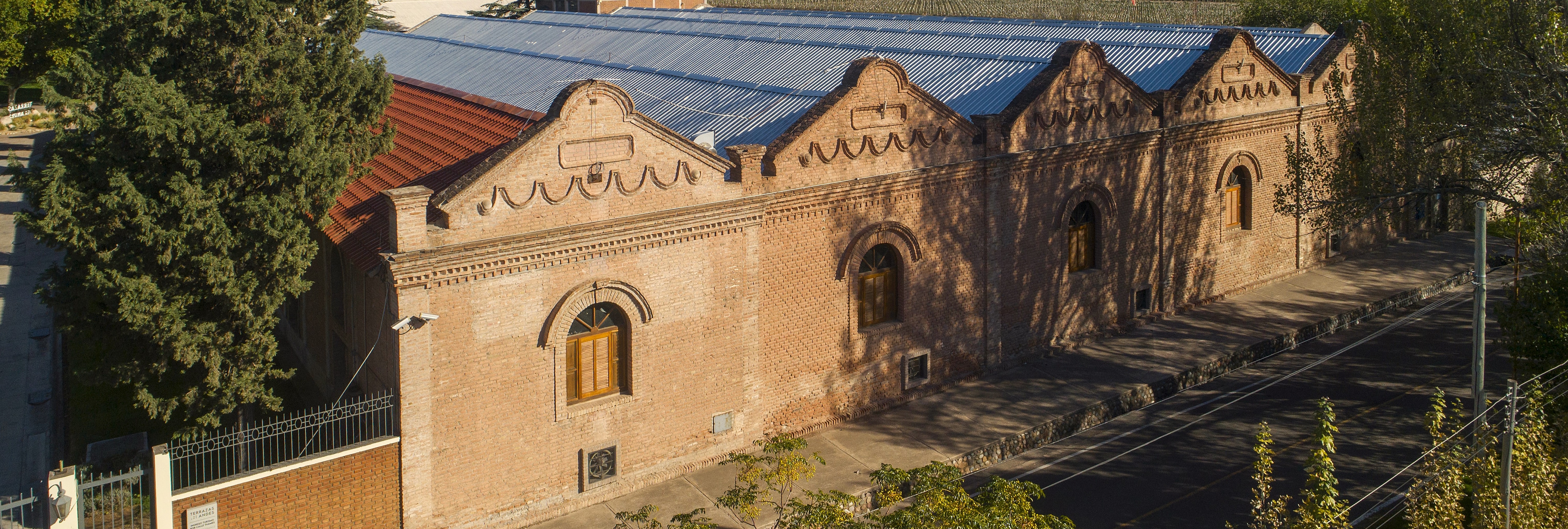 The winery among the vines