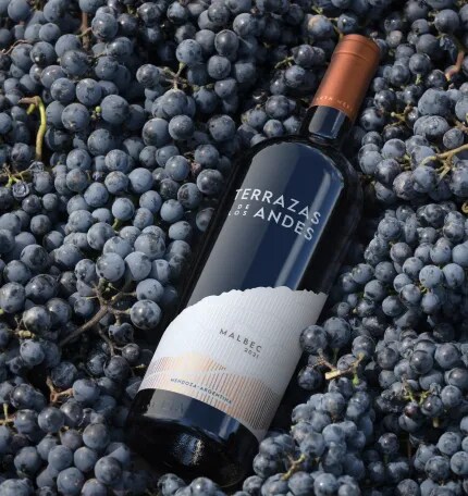 Terrazas de los Andes Reserva Malbec, A bottle displayed above a bounty of red grapes from Mendoza, Argentina, perfectly ripe for uncorking and serving, embodying the essence of high-altitude winemaking.