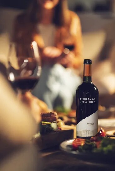 Malbec wine paired with a robust red meat dish, a juicy steak, shared among a group of people, enjoying a beautiful moment in Mendoza, Argentina, with a fire crackling nearby.