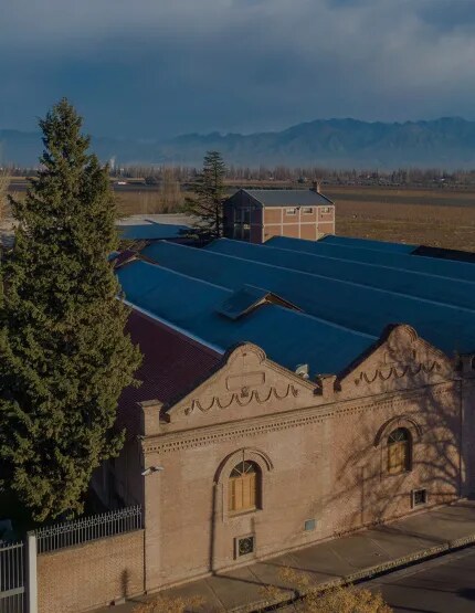 Drone view of a high-altitude-winery in Mendoza, Argentina with mountains in the back