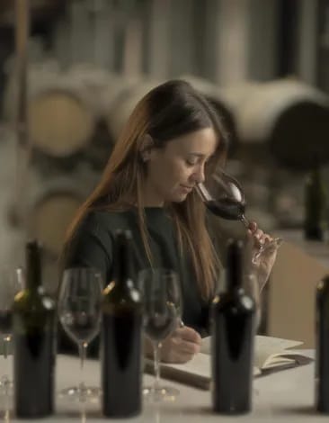 Cuatro vinos sobre una mesa en una bodega de vinos argentinos Terrazas de los Andes