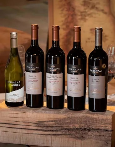 Five wines standing on a table at the interior of a winery of Terrazas de los Andes argentina wine