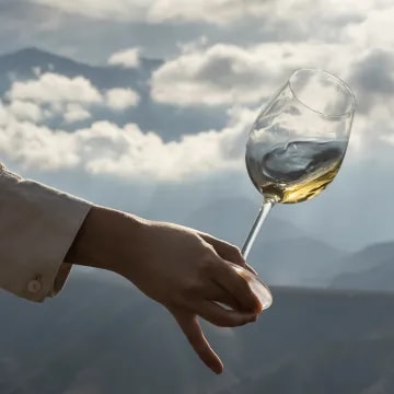 Enjoying a glass of Terrazas de los Andes white wine in the Andes Mountains.