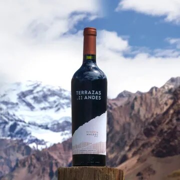 A bottle of Terrazas de los Andes red Malbec wine from Mendoza Argentina with the Andes mountain bacgkround