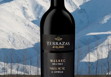 Terrazas de los Andes bottle of red wine parcel el espinillo 