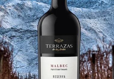 Botella de vino tinto Malbec Reserva Terrazas de los Andes en frente de las montañas en Mendoza