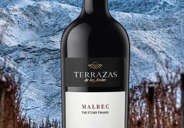 Bottle of Mablec red wine from Terrazas de los Andes, in front of the Andes mountain in Argentina