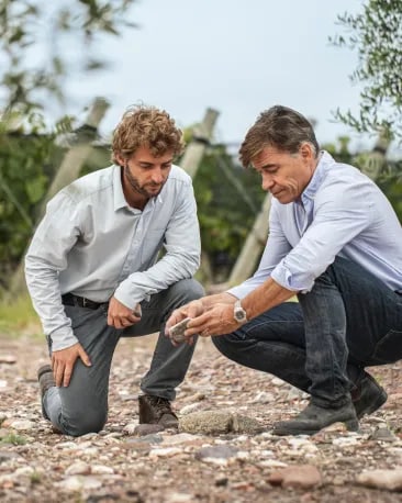 Two winemakers analyzing high-altitude Terrazas de los Andes Malbec vineyards in Mendoza