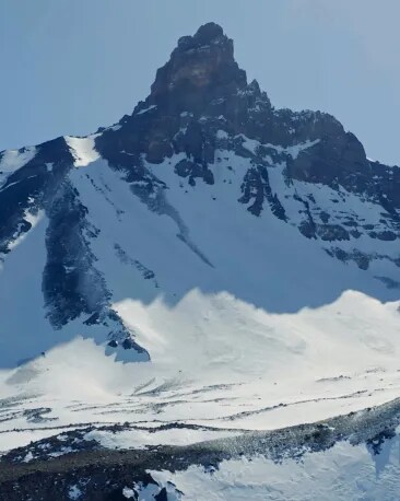 Guardians of Mountain Life| Terrazas de los Andes