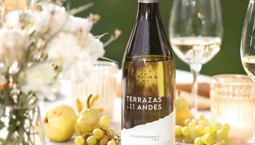 A meal outdoors with Terrazas de los Andes Reserva Chardonnay wine