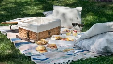  A basket over a blanket with food and that pairs with a Terrazas de los Andes wine from Argentina