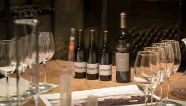 Quatro vinhos sobre uma mesa em uma vinícola de vinhos argentinos Terrazas de los Andes