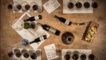 Quatro vinhos sobre uma mesa em uma vinícola de vinhos argentinos Terrazas de los Andes