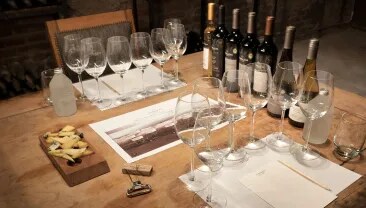 Siete vinos sobre una mesa en una bodega de vinos argentinos Terrazas de los Andes