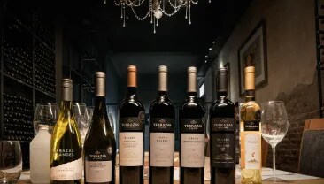 Siete vinos sobre una mesa en una bodega de vinos argentinos Terrazas de los Andes