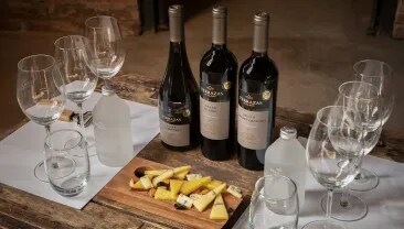 Três vinhos sobre uma mesa em uma vinícola de vinhos argentinos Terrazas de los Andes