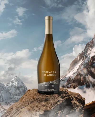 Grand Chardonnay 2022 | Mendoza Wine | Terrazas de los Andes