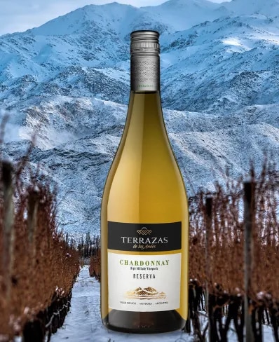 Bottle of wine Reserva Chardonnay high altitude white wine over the Andes mountains in Mendoza, Argentina