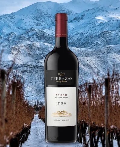 Botella de vino tinto Reserva Syrah Terrazas de los Andes frente a las montañas de los Andes en Mendoza Argentina