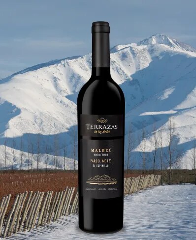 Botella de vino tinto de altura Terrazas de los Andes Parcel El Espinillo Malbec 2020 sobre las montañas de los Andes en Mendoza, Argentina