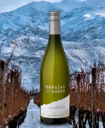 Bottle of Terrazas de los Andes Reserva Chardonnay 2022 high altitude white wine over the Andes mountains in Mendoza, Argentina