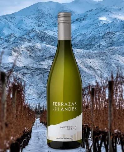 Botella de vino blanco de altura Terrazas de los Andes Reserva Sauvignon Blanc Malbec 2023 sobre las montañas de los Andes en Mendoza, Argentina