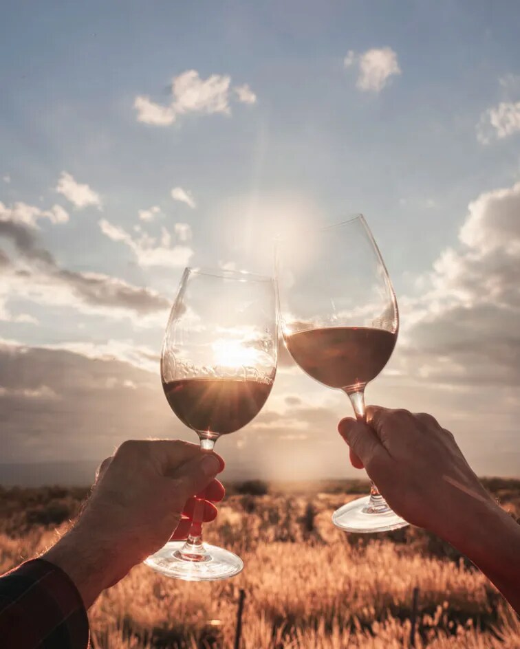 Copa de vino tinto de altura Terrazas de los Andes Reserva Pinot Noir 2024 con un paisaje montañoso de Los Andes, Mendoza, Argentina