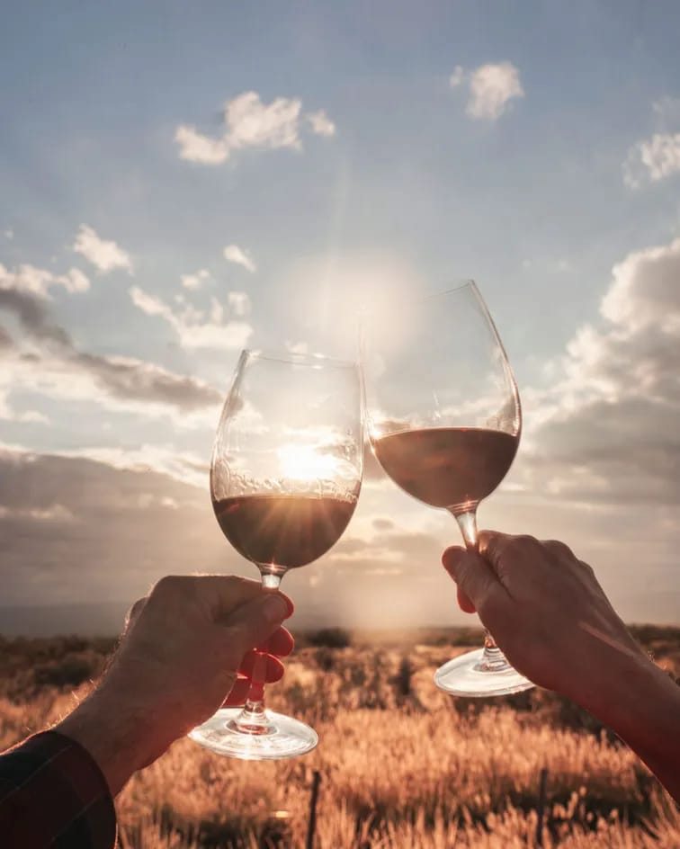 Grand Malbec 2020 | Mendoza Wine | Terrazas de los Andes