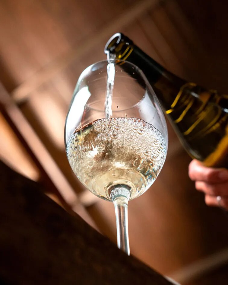Reserva Chardonnay 2022 |Mendoza Wine |Terrazas de los Andes