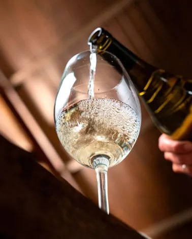 Glass of Terrazas de los Andes high-altitude white wine 